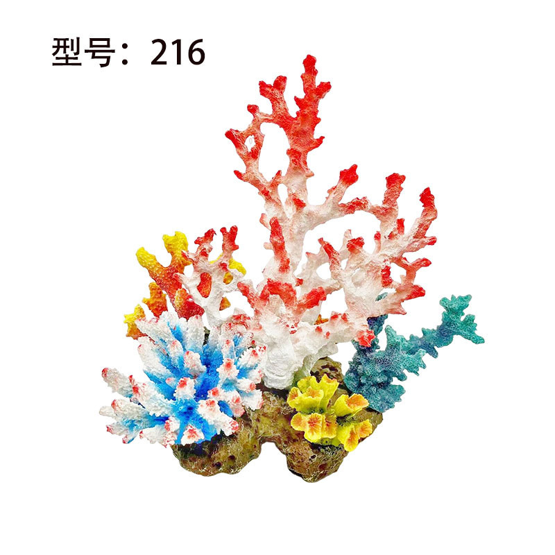 216.jpg