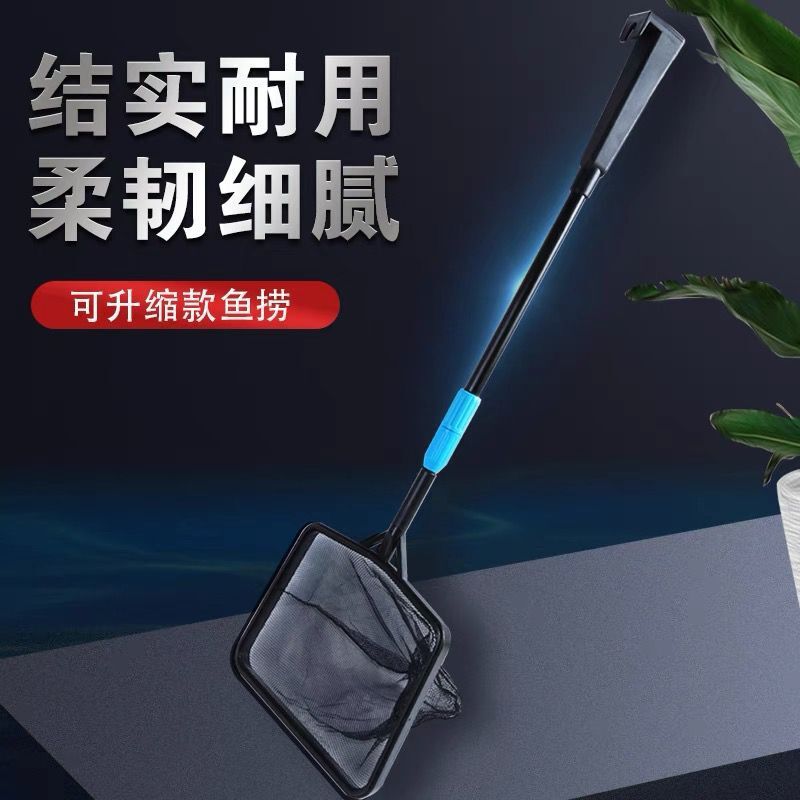 QQ图片20210811075807