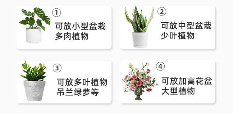 12f7a656-e454-490e-b2c0-9fa5b223e700.jpe