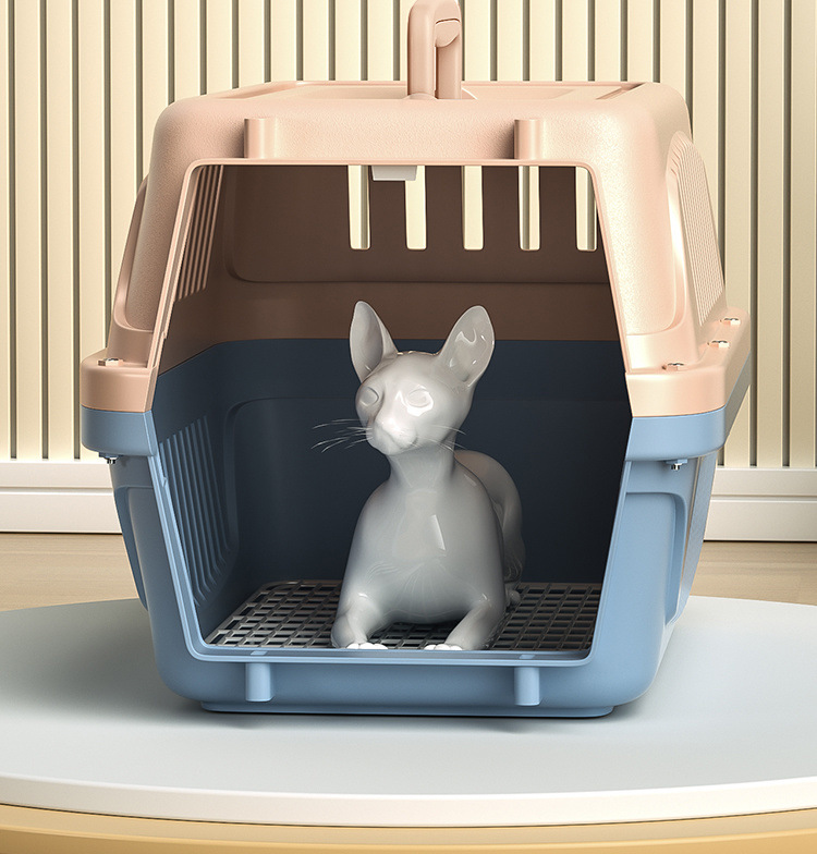 d046833a-ceed-48a8-9634-774f10a2b24d.jpe