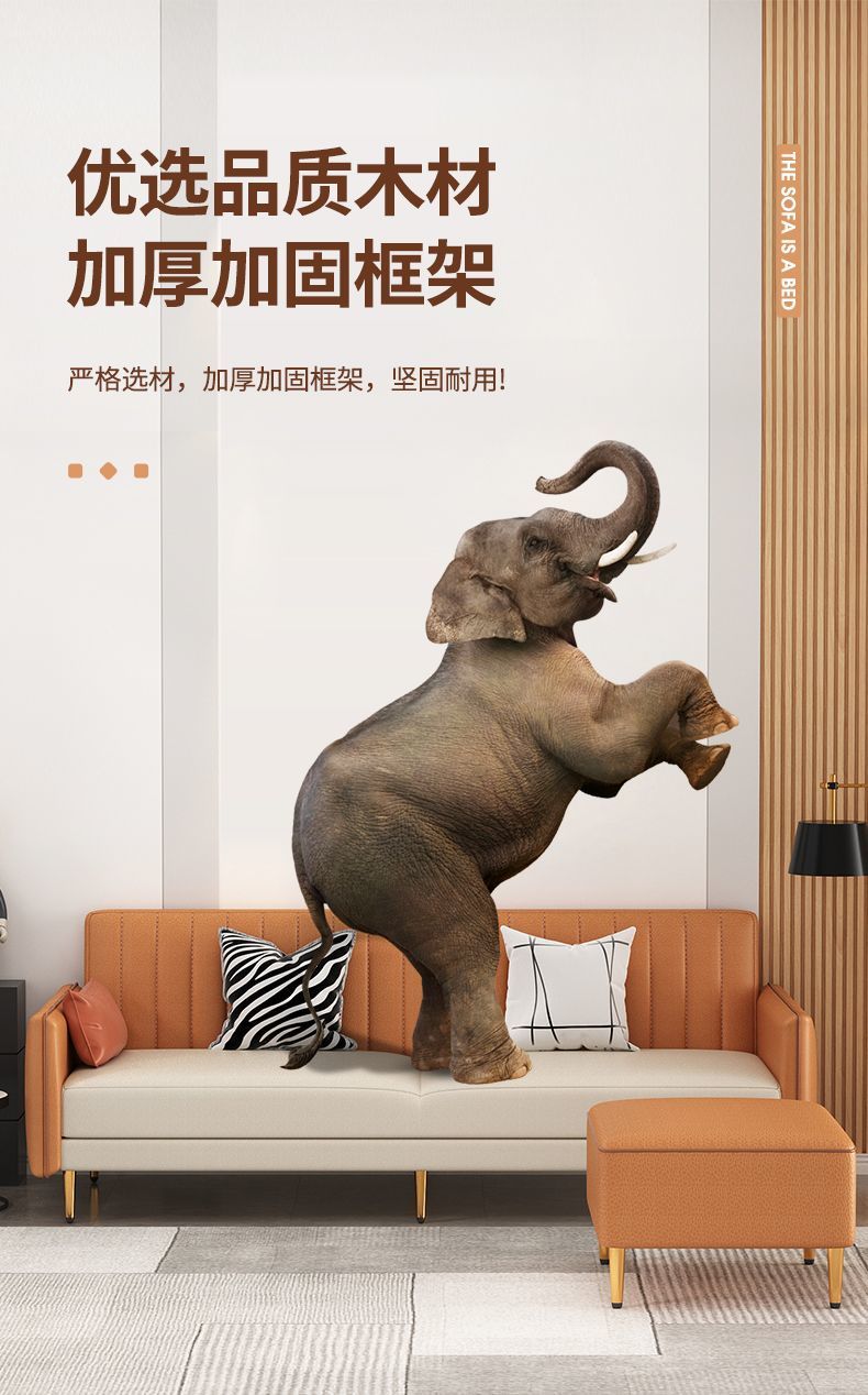 392e7215-666a-48ae-8be5-55ea9742268d.jpe