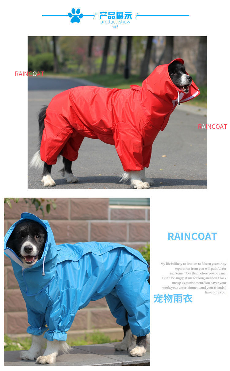 26b7f33d-dd76-46f0-93bf-188920854f1f.jpe