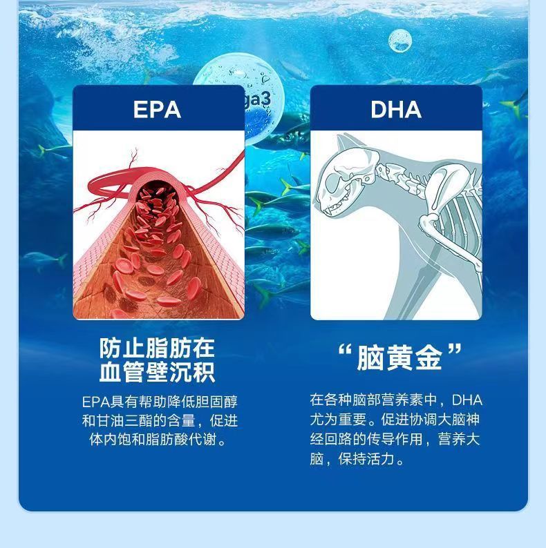 7fe924fb-b128-4ff5-81f9-2385f10c62f6.jpe