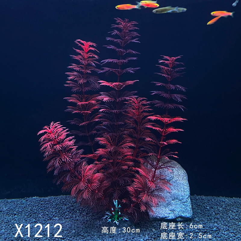 X1212.jpg