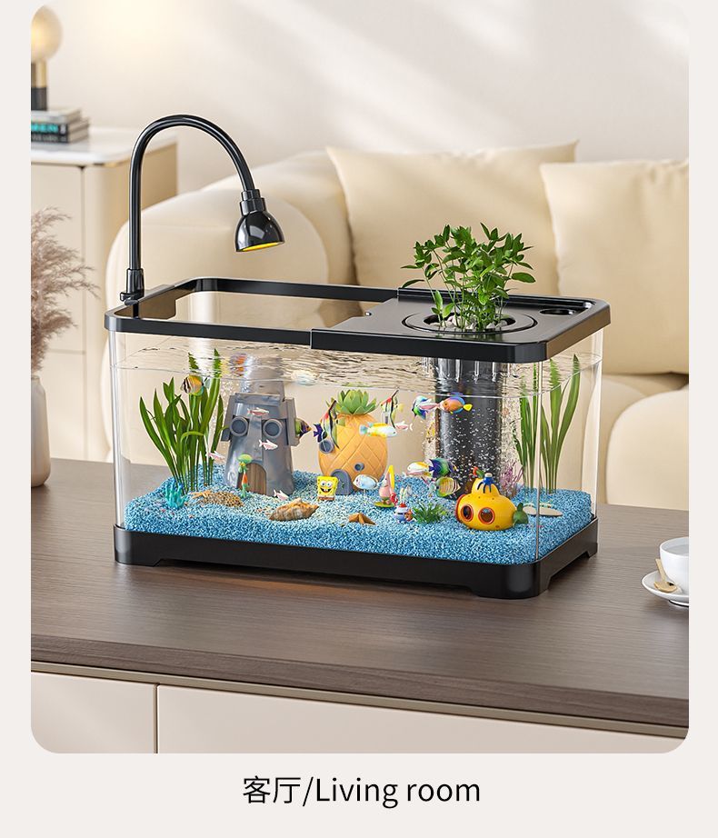 e8bc88e5-e5a6-4b43-a0c8-56fdfdd07d04.jpe