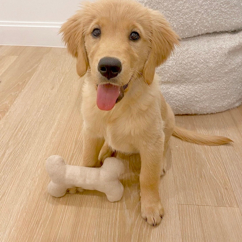 a87ac86e-2f96-4102-a98a-0db752