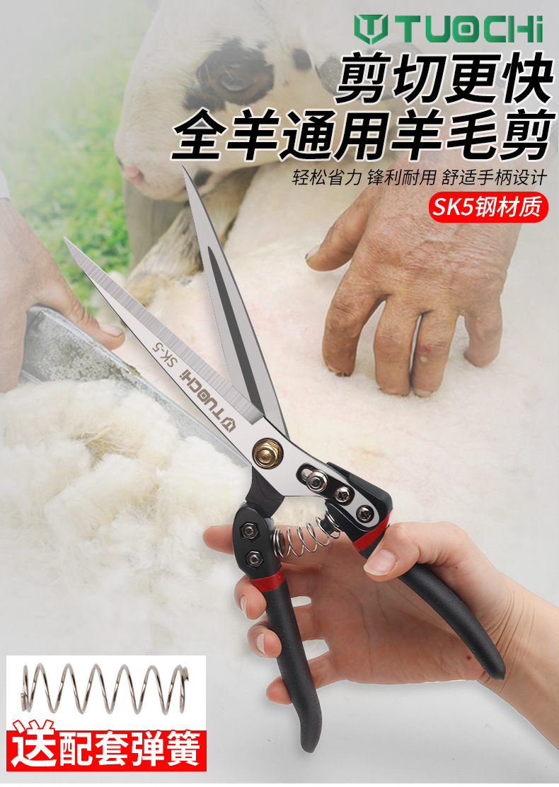 790详情_01.jpg