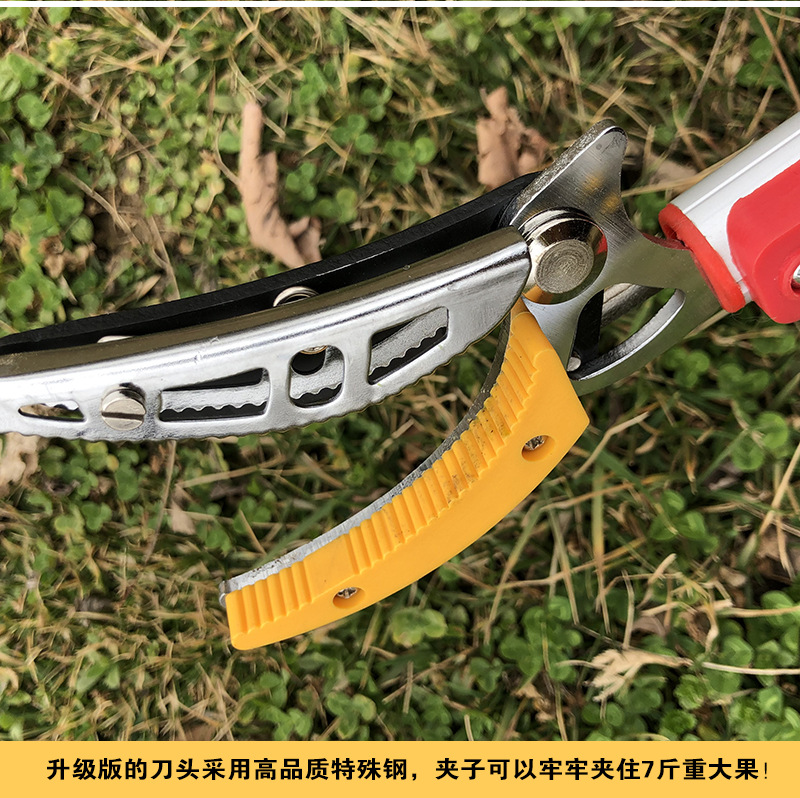 大图13