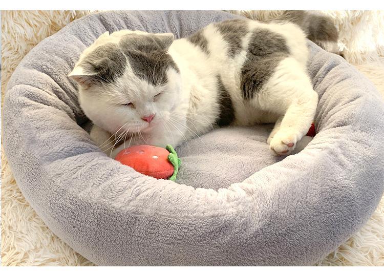 07016578-da0d-468f-95a2-58feeedc6c64.jpe