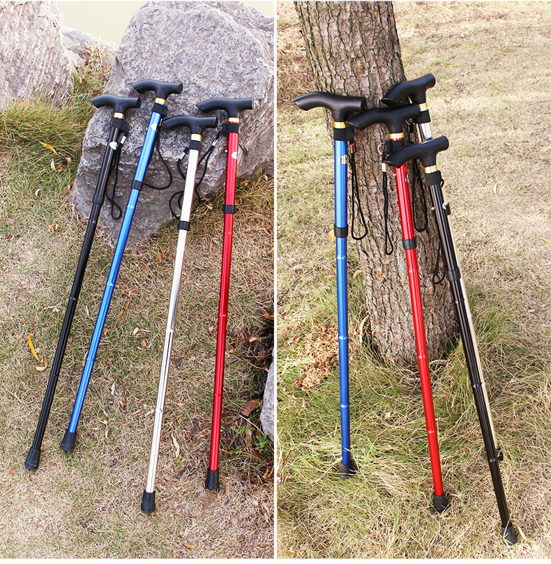 69226aa8-84c7-4ea8-a78d-40f0f2f76532.jpe