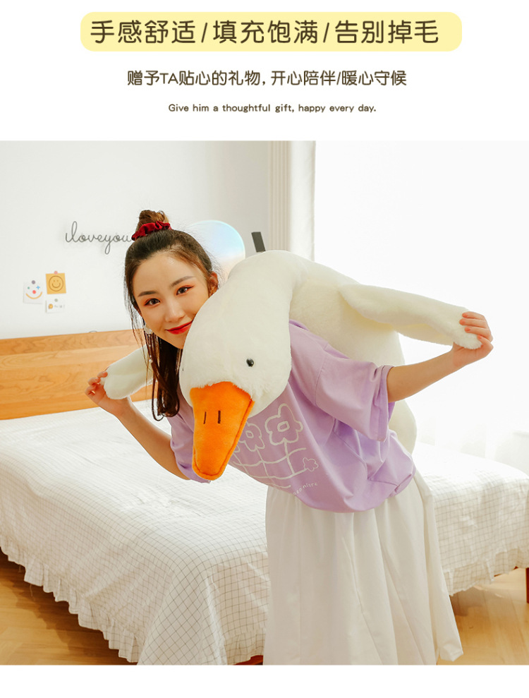 O1CN01QKjINg1EjkReht3o4_!!2210