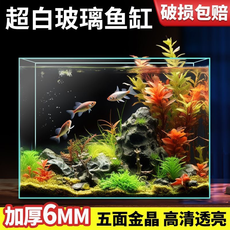 e3b6fc5b-5f3a-4257-be81-09a750a585df.jpe