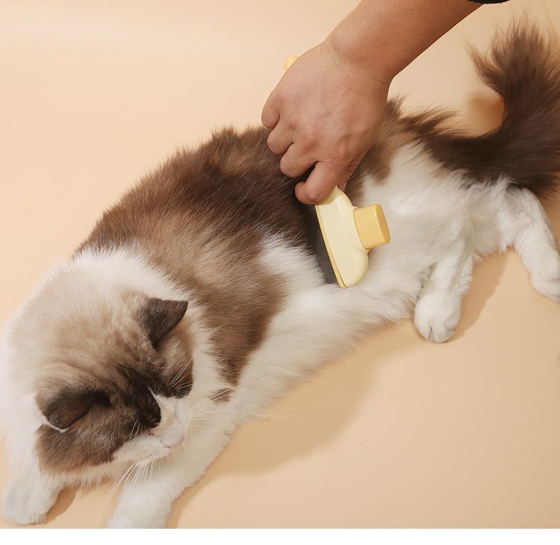 9ce6db13-5a14-4a9c-9fce-8febf9f95880.jpe