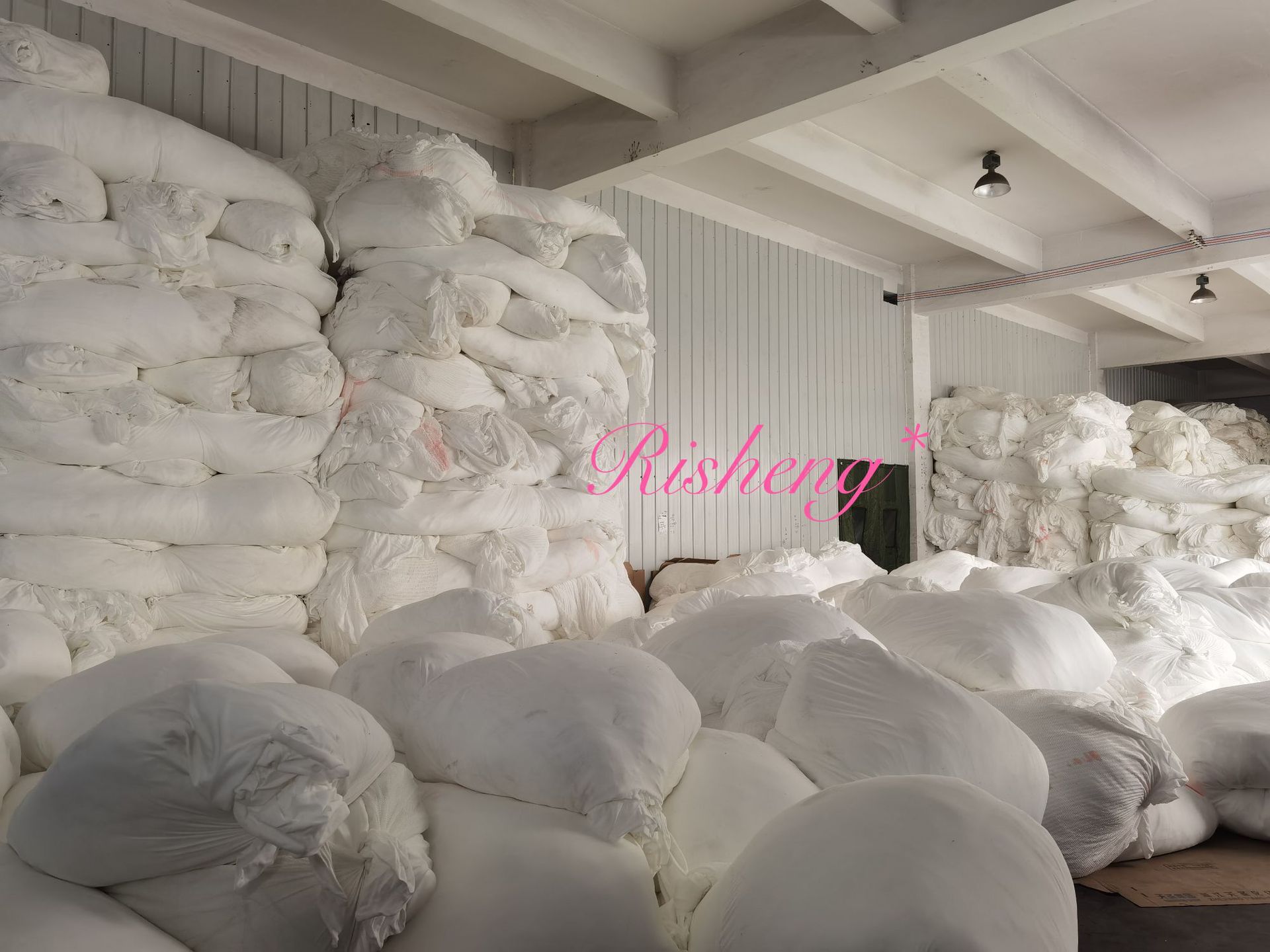 微信图片_20240802163831