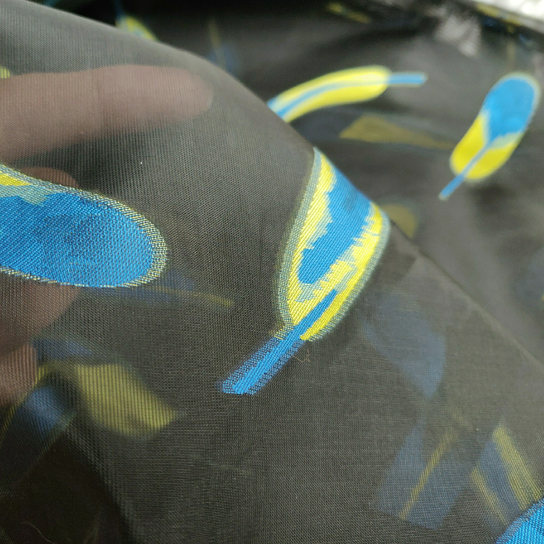 IMG_20190226_155940_2021-11-20