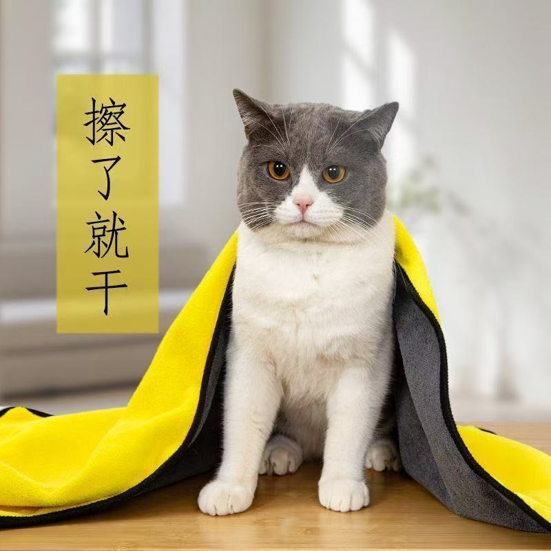 80c92579-b1b7-4c15-9e7d-e0ed8f6a82bb.jpe