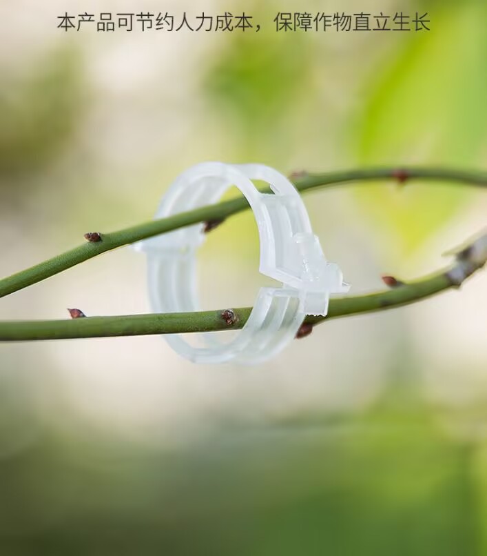 2473646DE8AB9AEAA823FD0B8D8134