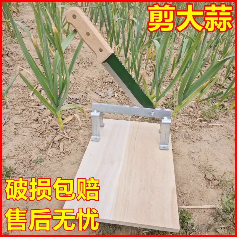 主图_4_PC(1).jpg