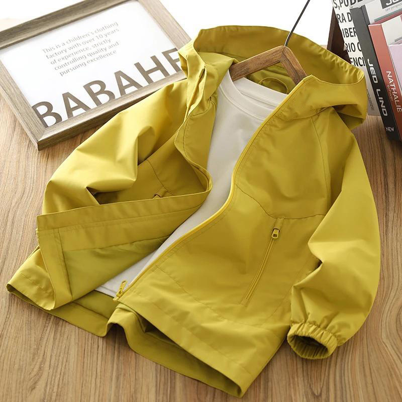 d82e2ab2-dc44-4c92-b4dd-8baeeda4d346.jpe