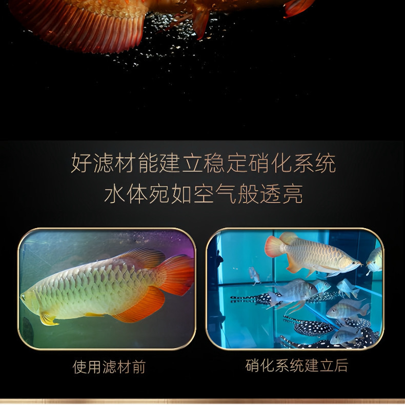 7599712e-2f0b-4cb9-b568-b3a8d2cb3ee0.jpe