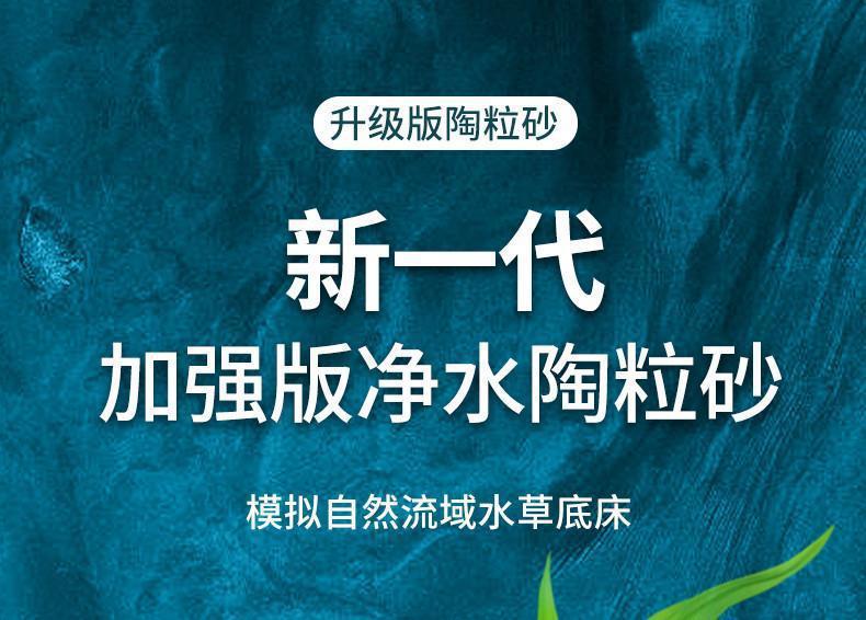 765ea8e5-8581-4841-ad88-edfa933bf9ca.jpe