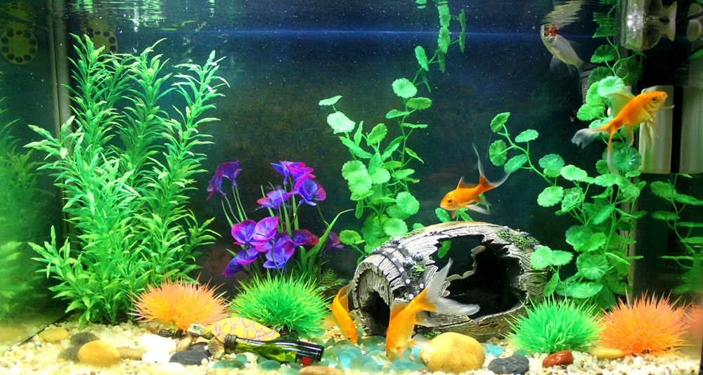 TB2ISXaqpXXXXafXXXXXXXXXXXX_!!