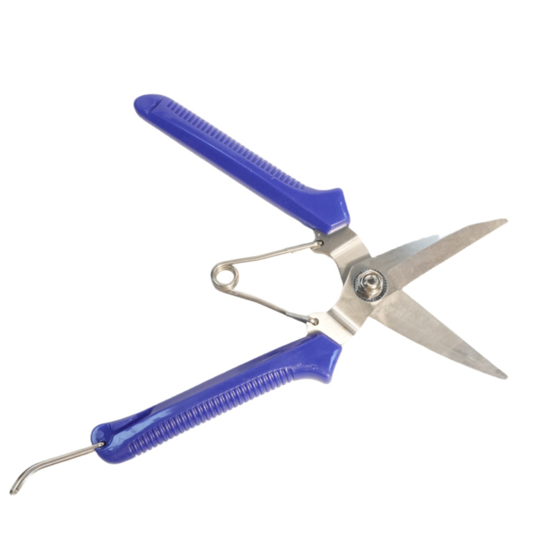 DSC00767_副本_副本