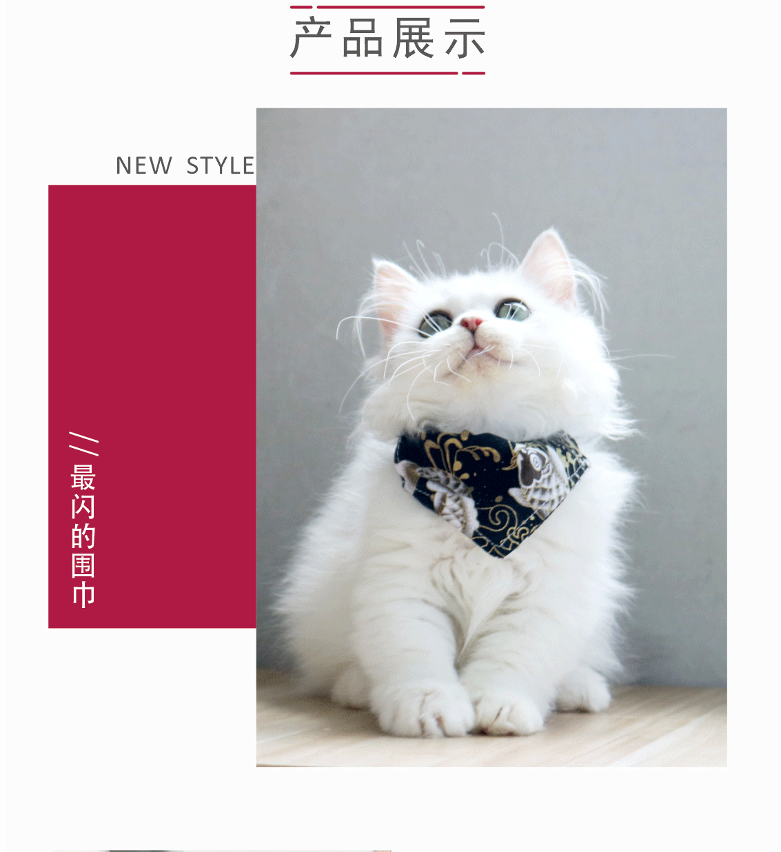 猫咪三角巾详情页_06