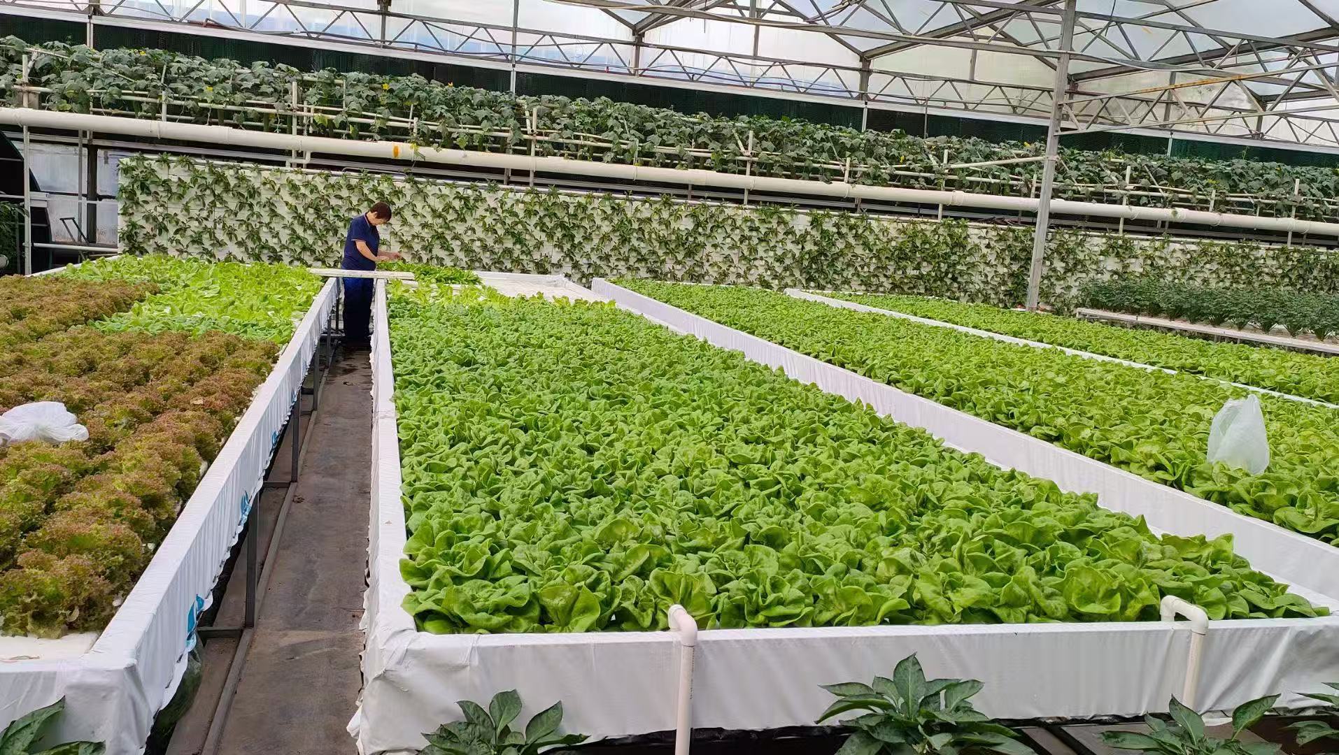 微信图片_20250619125352