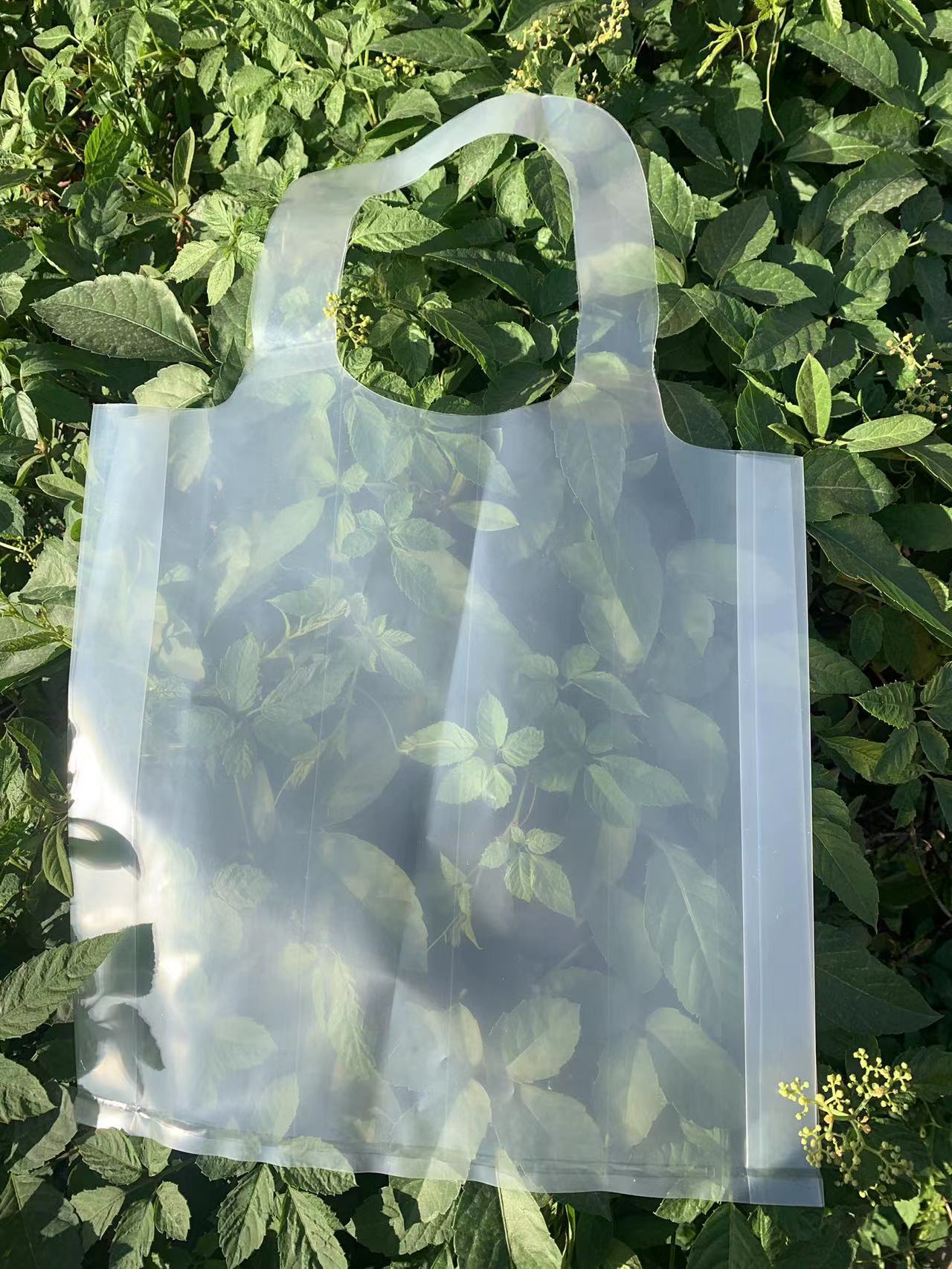 透明背包袋