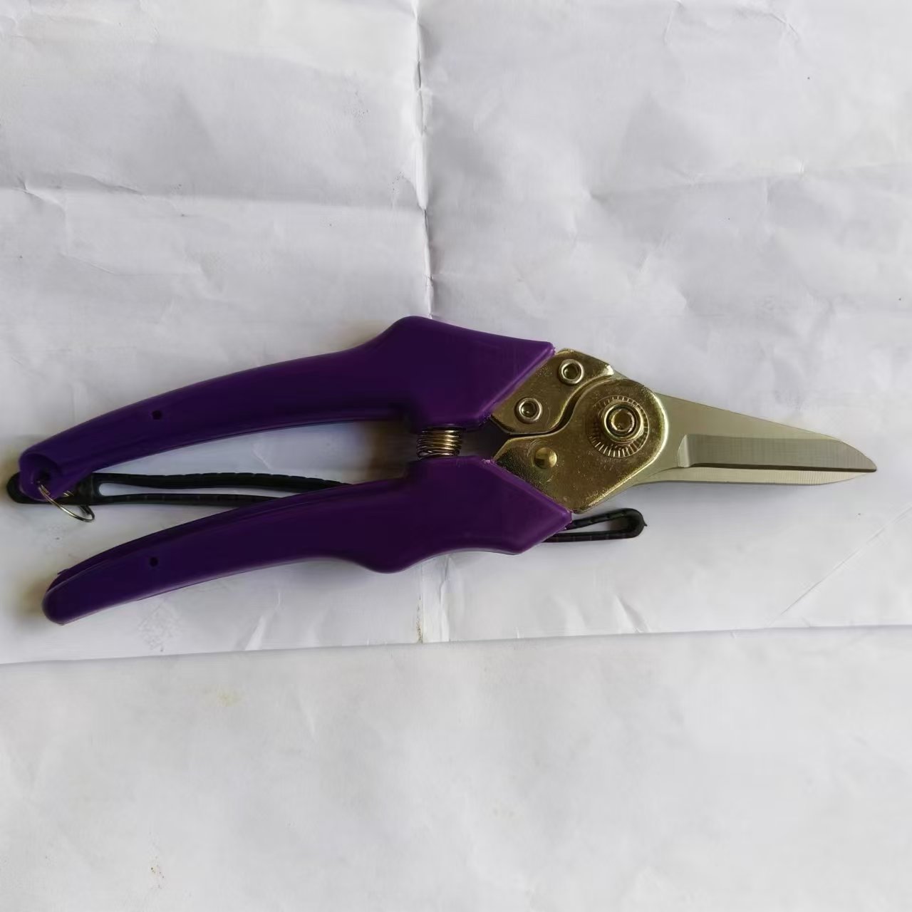 微信图片_20240809152634