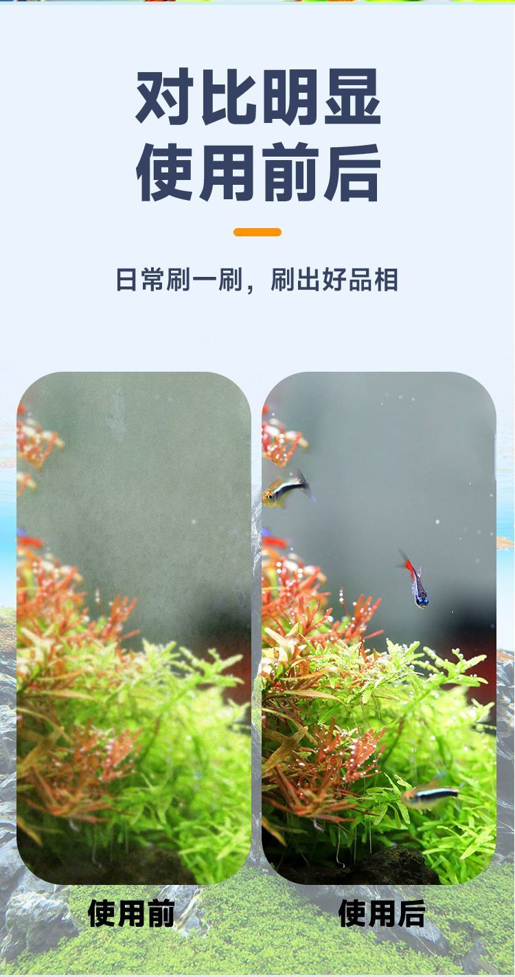 aadc946a-7083-4671-91b2-8d521e63e3b9.jpe