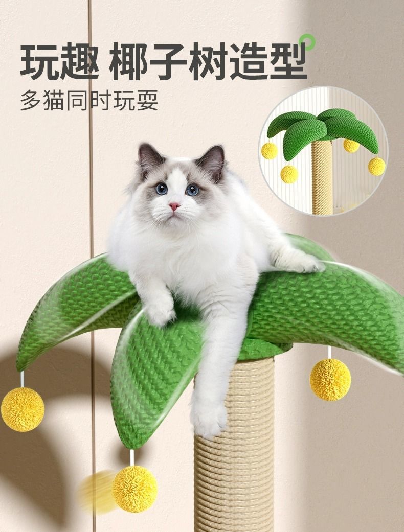 91c9970a-112a-4b25-a6e1-536e37ee885a.jpe