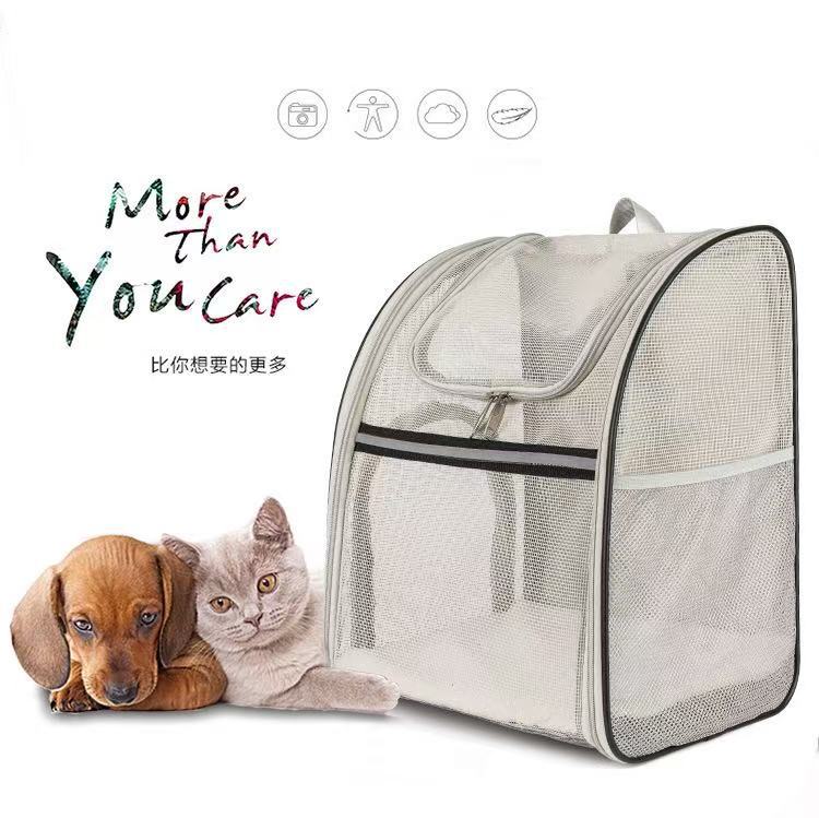 微信图片_20250511115700_308