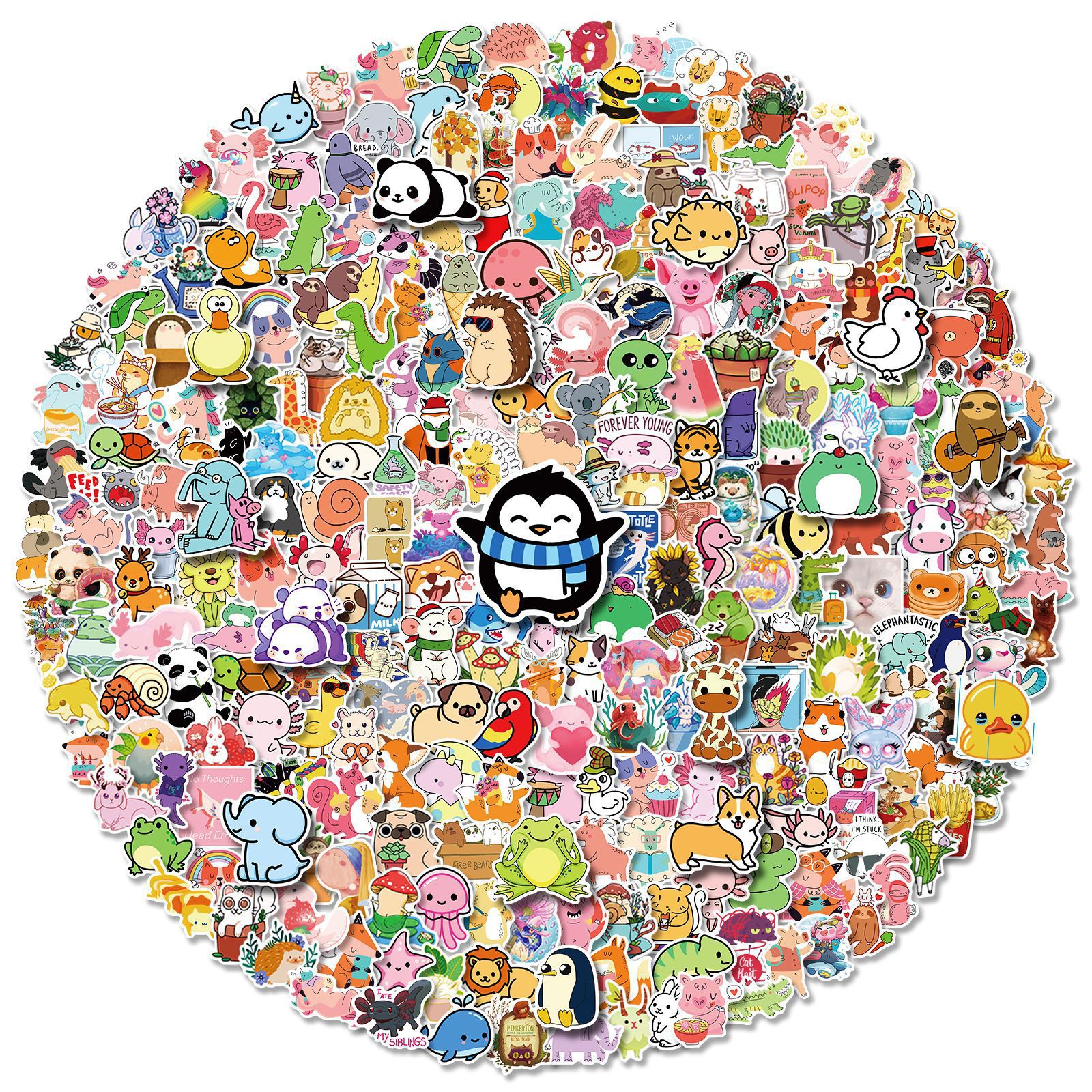 首图1.jpg