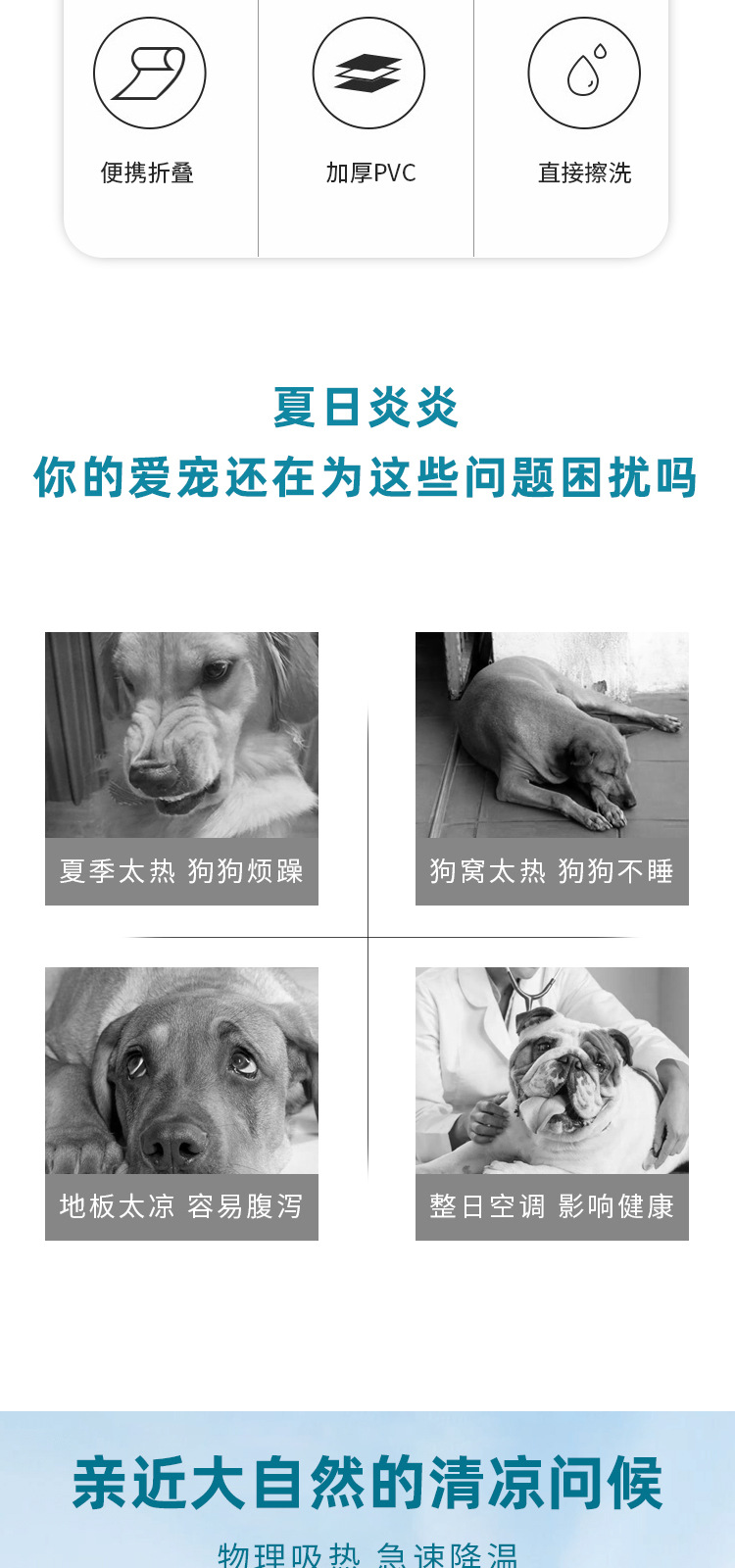 夏季宠物遇到的问题