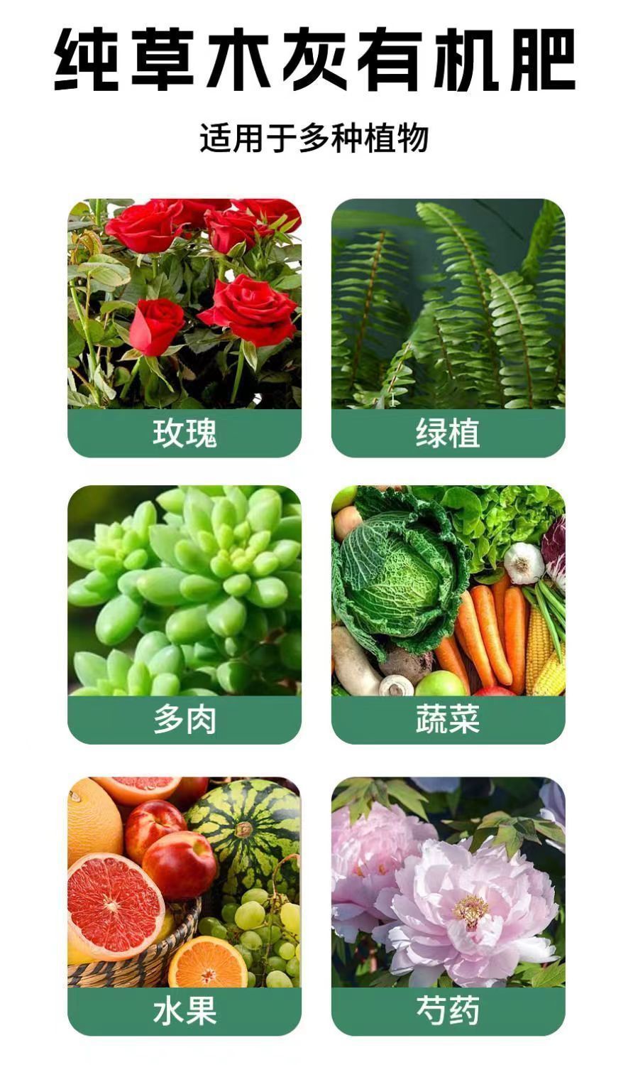 d0c238ff-90eb-42c0-9903-ed481d313311.jpe