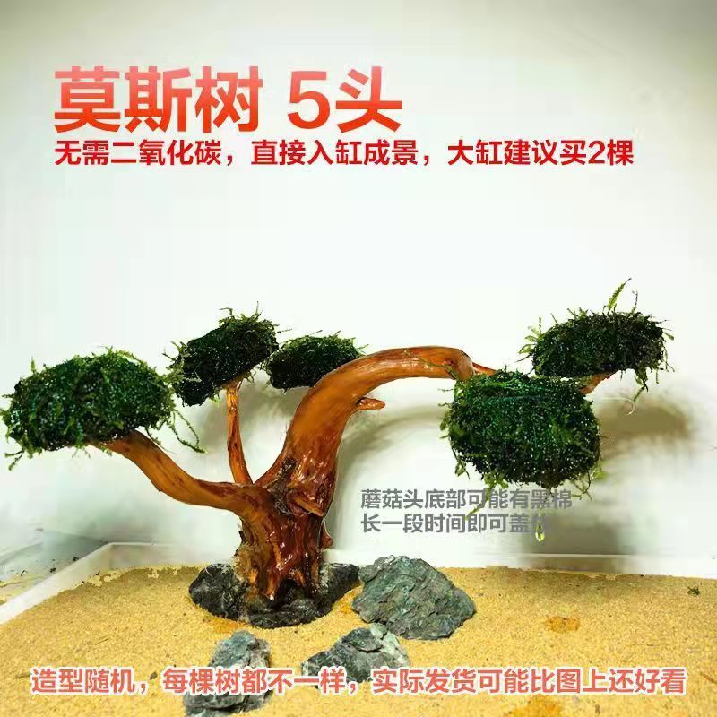 0bc24f08-0bdd-4cdc-aeab-558038868817.jpe