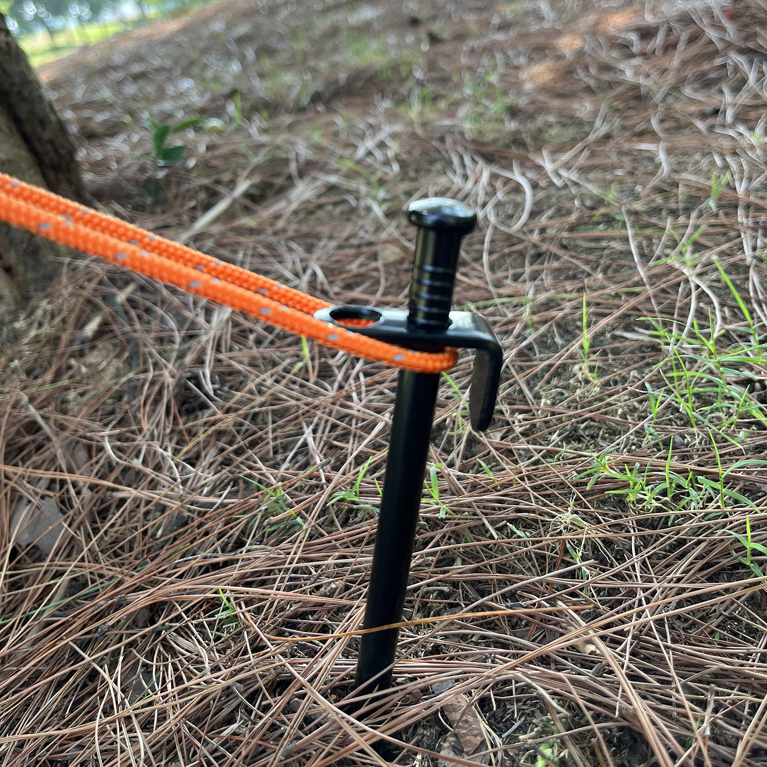 微信图片_20220906135856