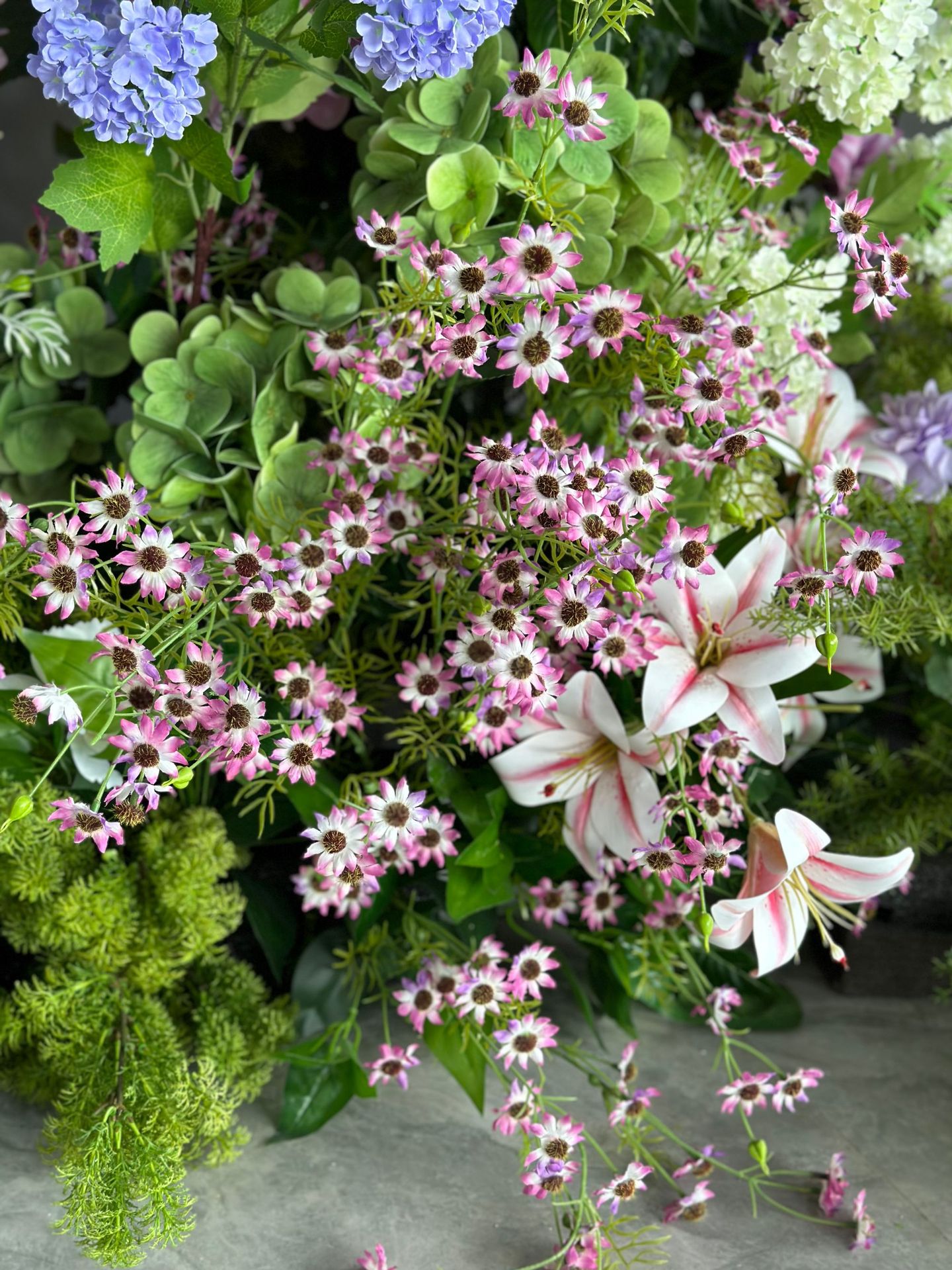 微信图片_20240705133150