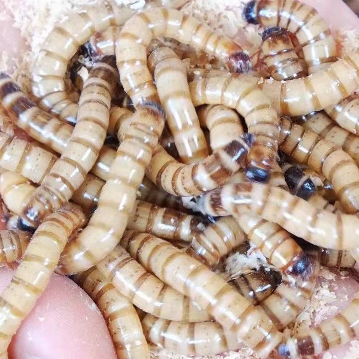 5fa25163-9b4d-44ec-a9df-5f6225b2193c.jpe