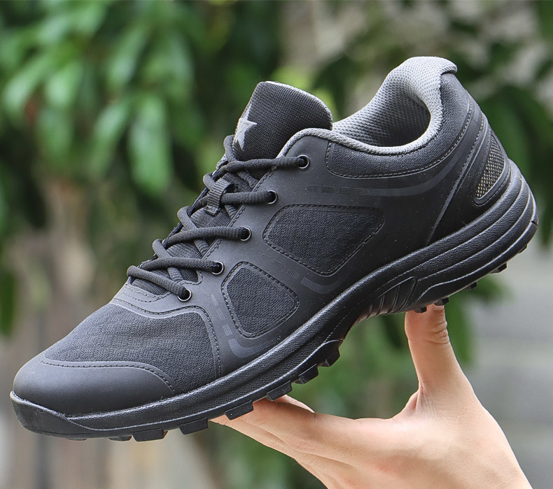 65d7146d-e2dd-4480-94c2-f8659e90312e.jpe