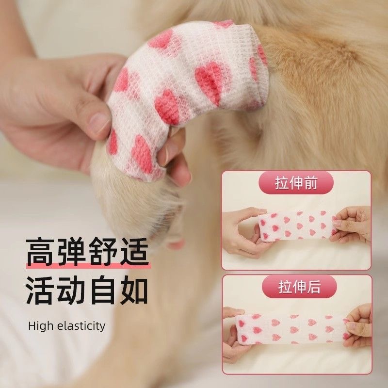 13e55d1f-d50a-45ce-a4d6-08019c723a8b.jpe