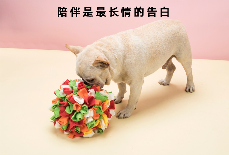 宠物闻嗅球_05.jpg