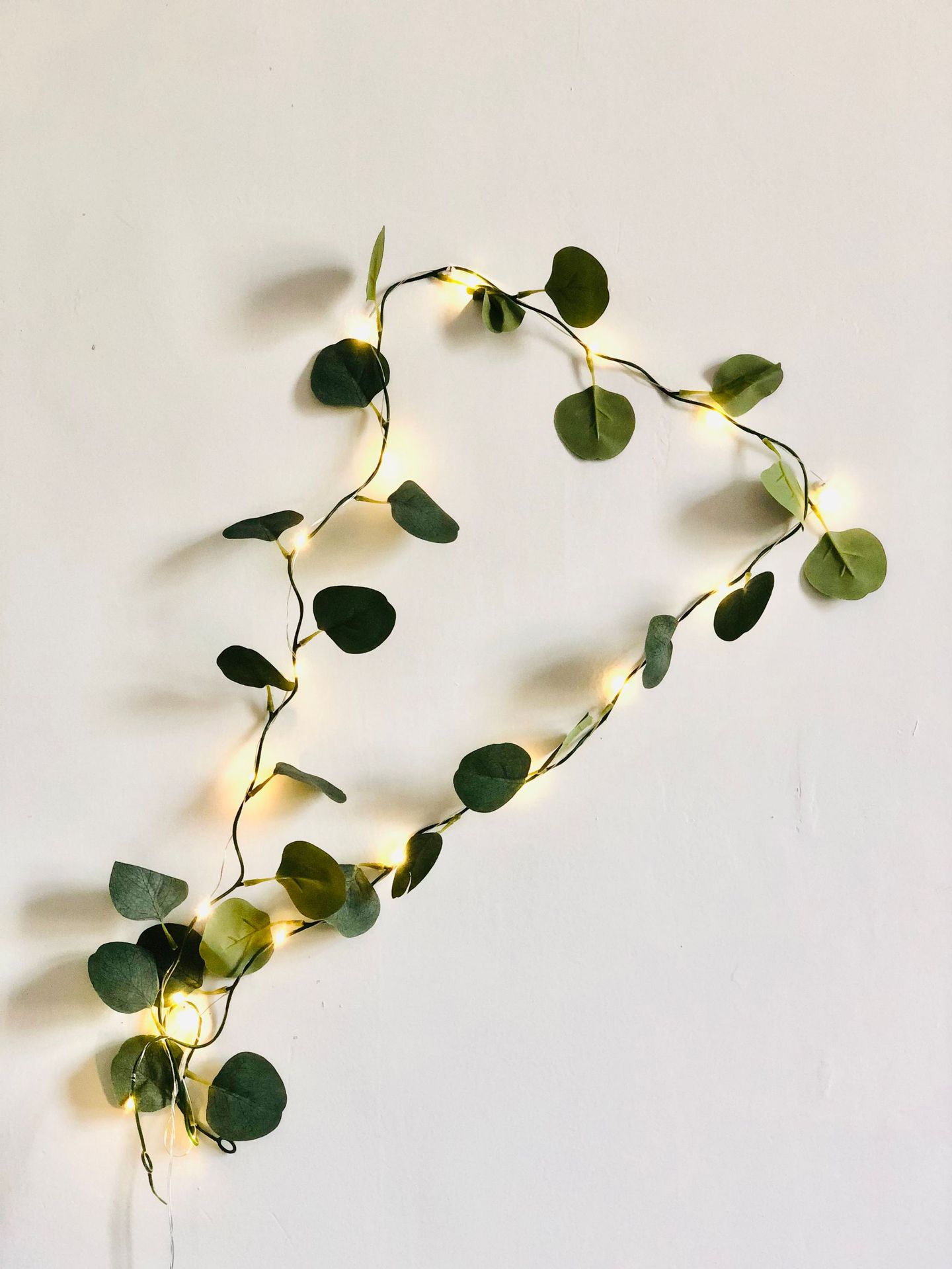 f47fa182194b5f1e827de67c11d406