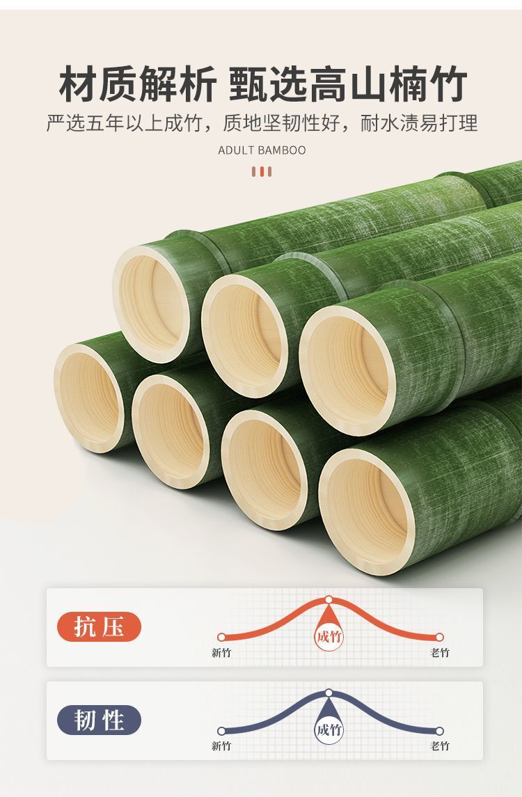 841a33ac-9cff-4ff4-a930-95fdb858bd1b.jpe