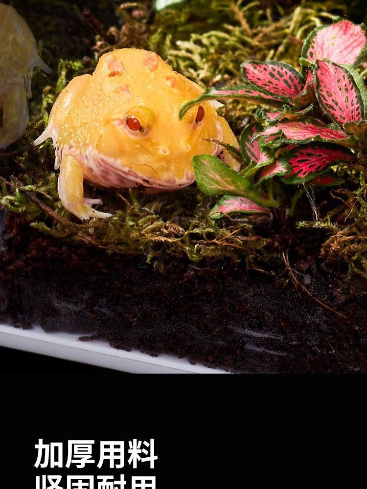 0e808ff7-d78c-4858-8044-4e658fbfb21a.jpe