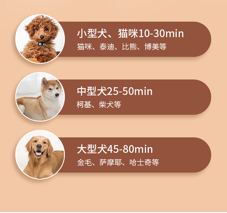 宠物吹毛器-拷贝_15.jpg