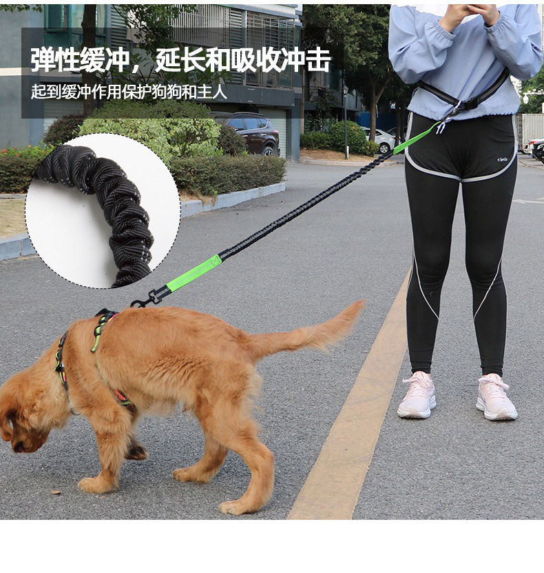 未标题-1_12.jpg