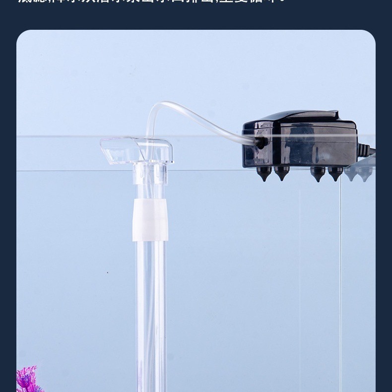 c3d46331-ad1b-43c3-9a31-9074ae7b8579.jpe